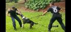 Polícia Penal participa de Formação de Condutores de Cães de Polícia em Londrina