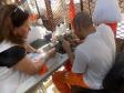 Em Maringá, 36 detentos formam-se em curso de assistente de costura