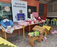 Projeto Pipoca: Detentos produzem materiais para animais de rua, na Cadeia Pública de Toledo (PR)