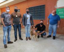 Projeto Pipoca: Detentos produzem materiais para animais de rua, na Cadeia Pública de Toledo (PR)