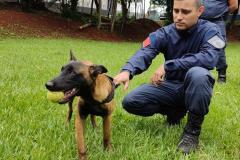 Polícia Penal participa de Formação de Condutores de Cães de Polícia em Londrina